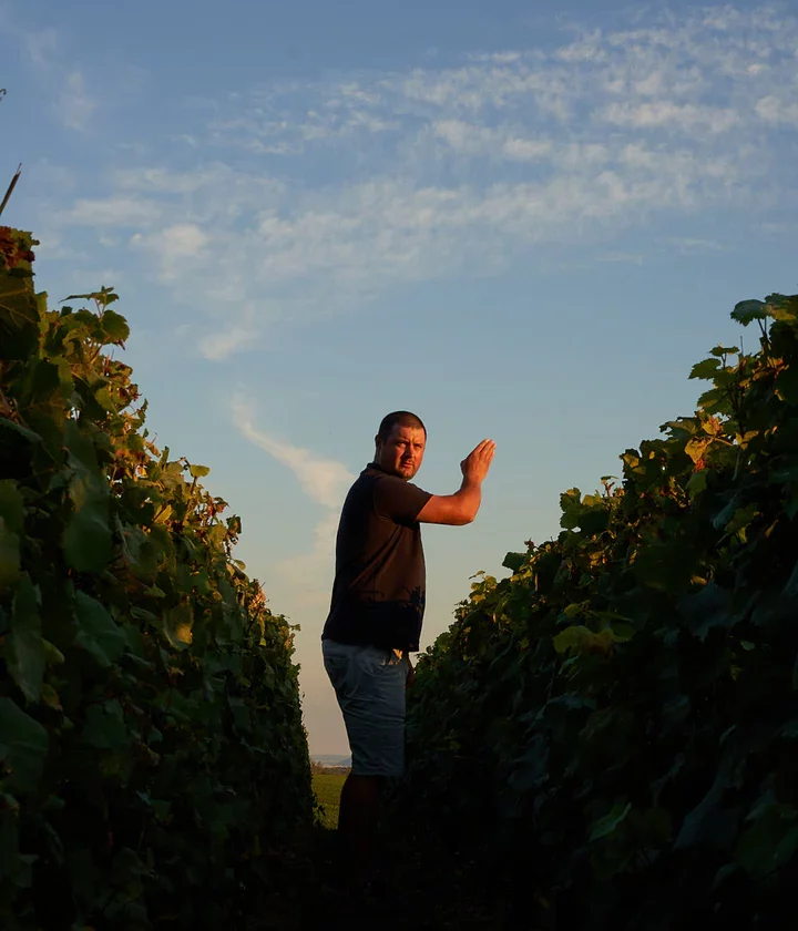 aux vignes
