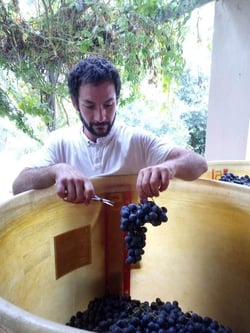 fabien-chanavas-156418