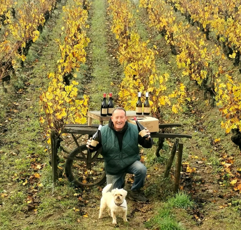 Aux vignes