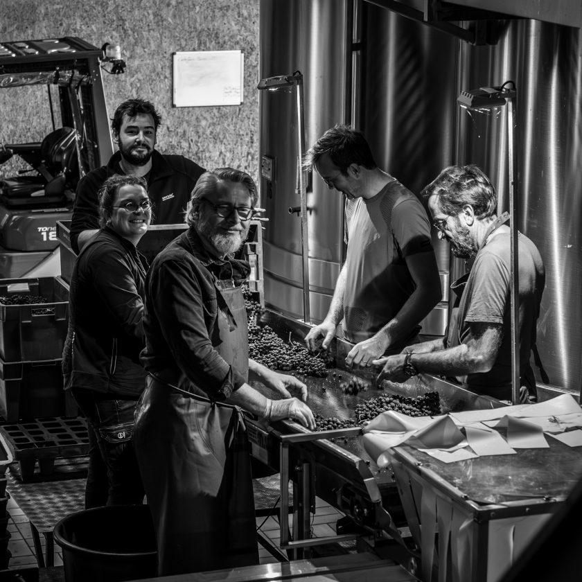 © Kazim - Kreazim Domaine des Roches Neuves Vendanges Rouges 2023-61