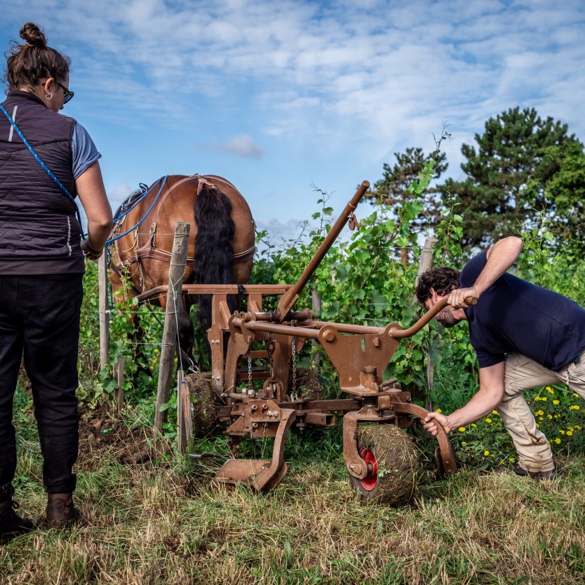 © Kazim - Kreazim Roche Neuves Charue -38